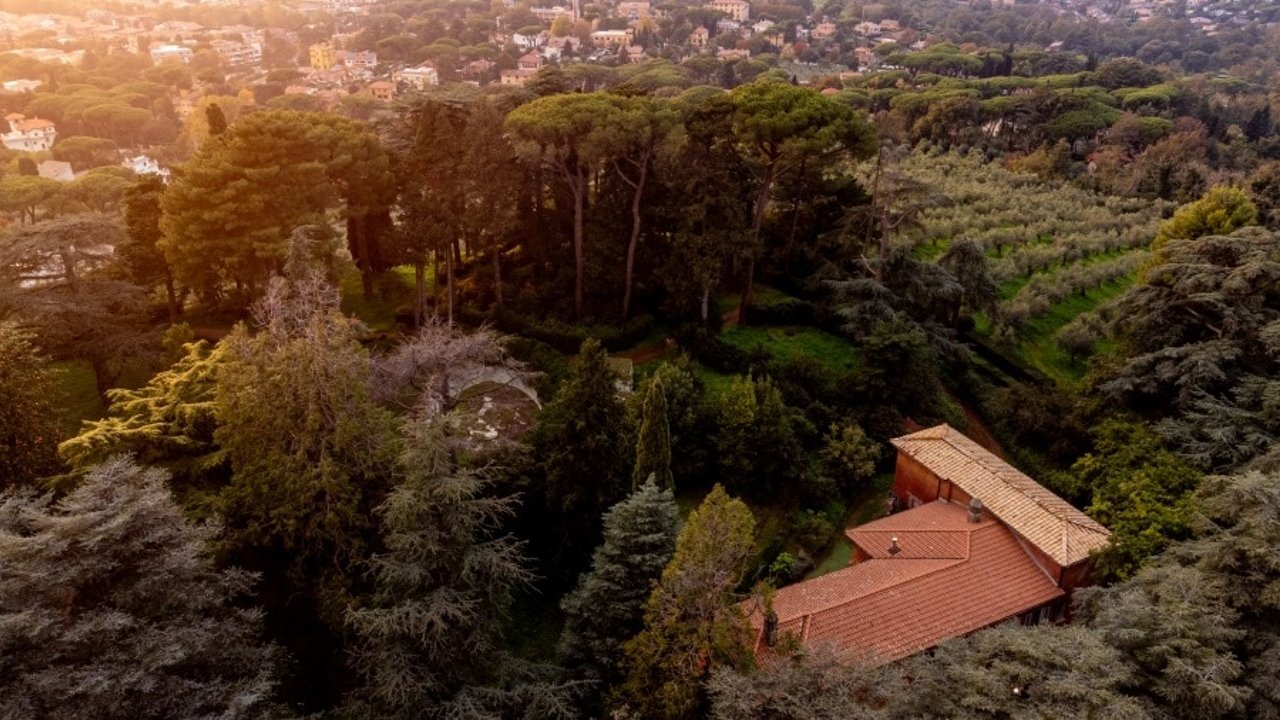 Um museu do azeite é inaugurado no Castelli Romani entre vinhedos e oliveiras centenárias