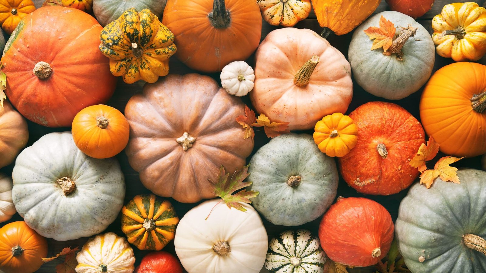 Abóbora, o ingrediente versátil e suas variedades mais conhecidas