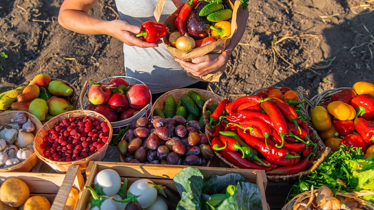 Dia Mundial da Food 2024 e a abertura de um museu da FAO em Roma