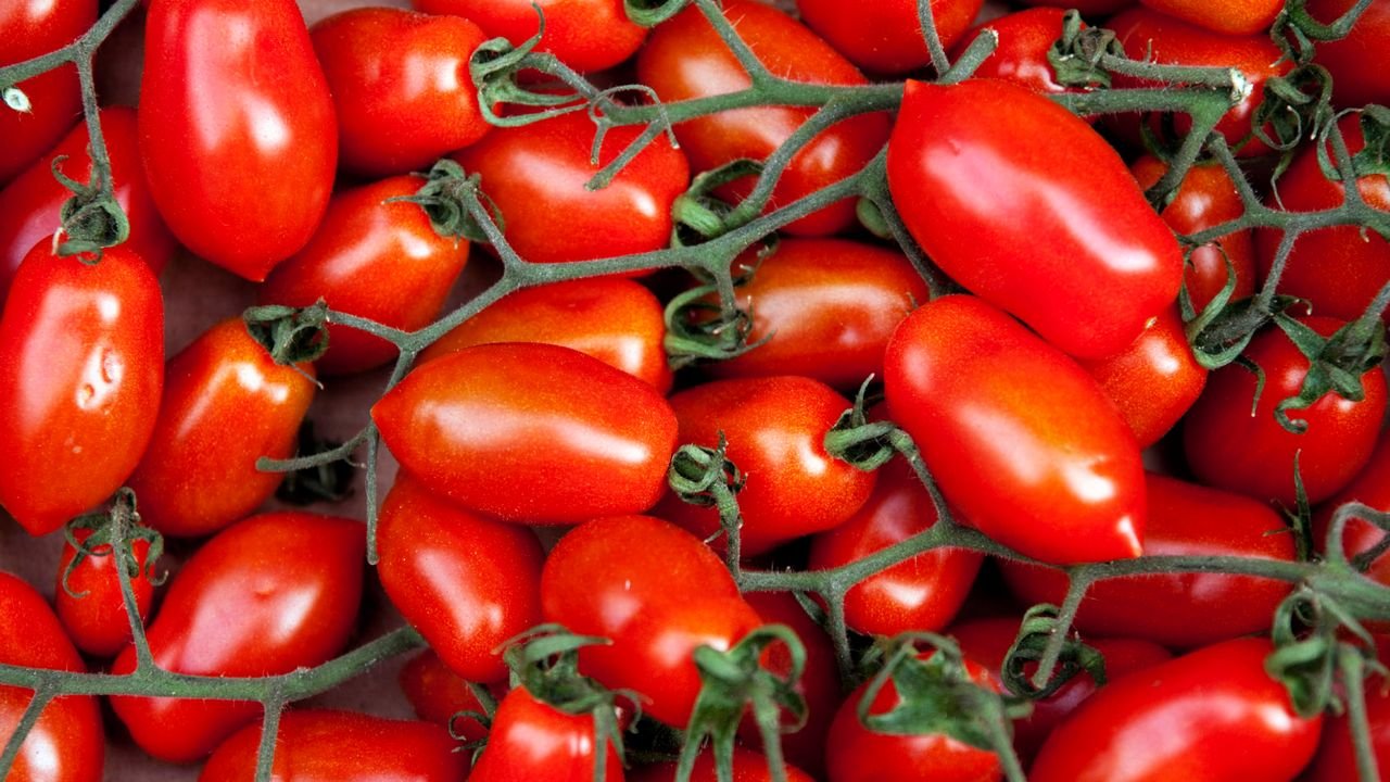 6 maneiras de armazenar tomates, de molho de poeira